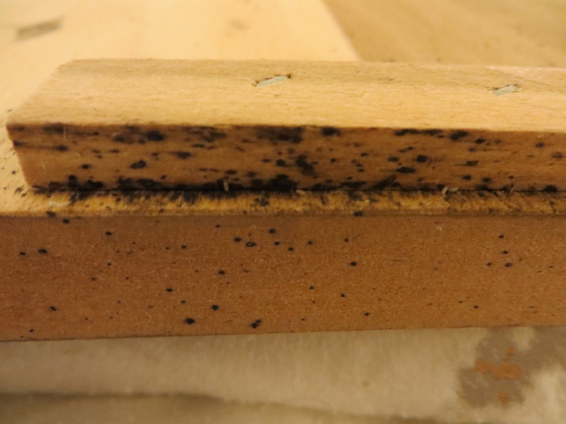 A wooden bed frame joint covered with small black spots and stains